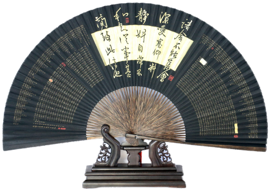 人妻少妇av无码一区二区