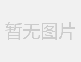 王星记亮相第六届中国（浙江）工艺美术精品博览会
